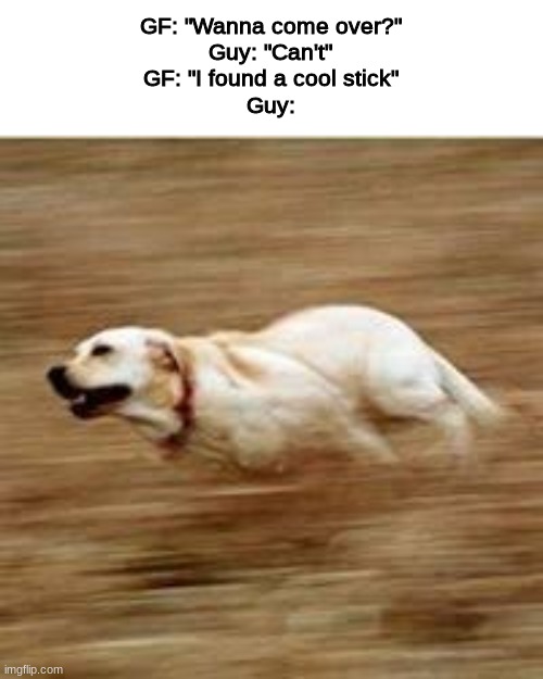 Speedy doggo | GF: "Wanna come over?"
Guy: "Can't"
GF: "I found a cool stick"
Guy: | image tagged in speedy doggo,memes,funny memes | made w/ Imgflip meme maker