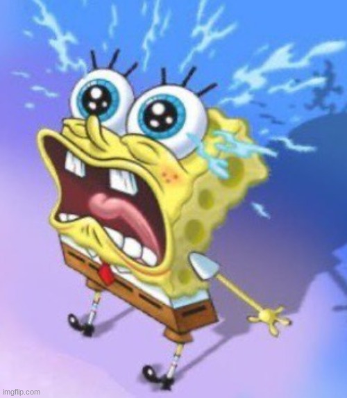 the spunch pop is real (cropped) | image tagged in the spunch pop is real cropped | made w/ Imgflip meme maker