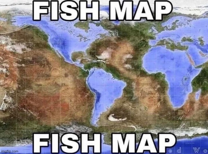 FISH MAP | image tagged in fish map | made w/ Imgflip meme maker
