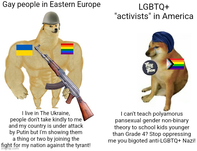 Ukrainian LGBT people are brave and fight against actual oppression, Western LGBT activists are just whiny snowflakes |  Gay people in Eastern Europe; LGBTQ+ "activists" in America; I can't teach polyamorus pansexual gender non-binary theory to school kids younger than Grade 4? Stop oppressing me you bigoted anti-LGBTQ+ Nazi! I live in The Ukraine, people don't take kindly to me and my country is under attack by Putin but I'm showing them a thing or two by joining the fight for my nation against the tyrant! | image tagged in memes,buff doge vs cheems,lgbtq,sjws | made w/ Imgflip meme maker