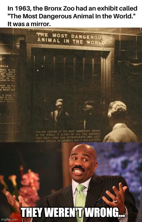 Beware of human | THEY WEREN'T WRONG... | image tagged in memes,steve harvey,new york city,zoo,1960's,history memes | made w/ Imgflip meme maker