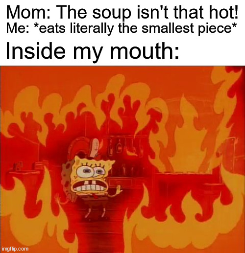 true ngl | Mom: The soup isn't that hot! Me: *eats literally the smallest piece*; Inside my mouth: | image tagged in burning spongebob | made w/ Imgflip meme maker
