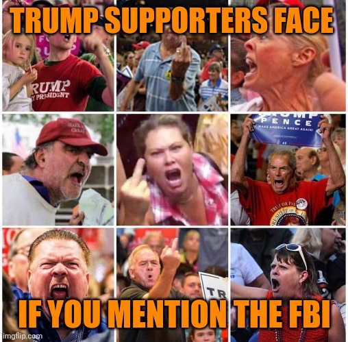 Triggered Trump supporters | TRUMP SUPPORTERS FACE IF YOU MENTION THE FBI | image tagged in triggered trump supporters | made w/ Imgflip meme maker