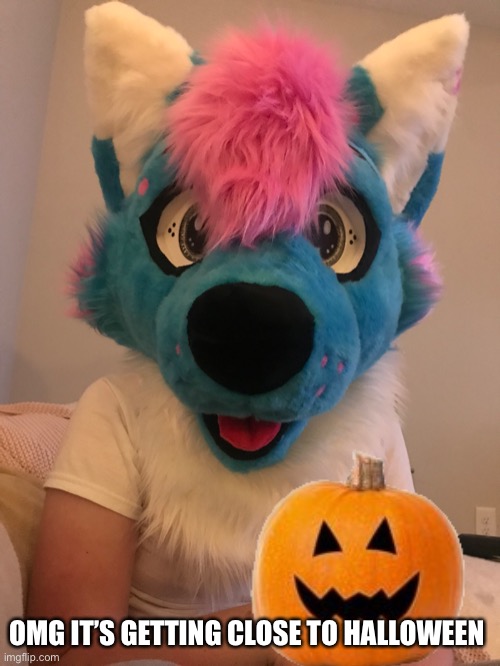 :DDDD | OMG IT’S GETTING CLOSE TO HALLOWEEN | image tagged in memes,fursuit,halloween | made w/ Imgflip meme maker
