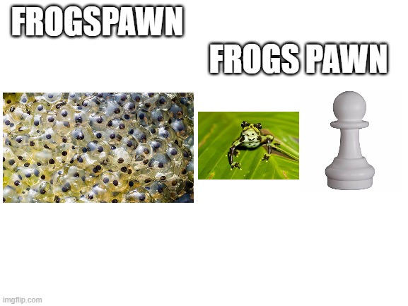 Yes | FROGS PAWN; FROGSPAWN | image tagged in blank white template | made w/ Imgflip meme maker