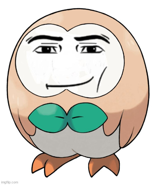 lol | image tagged in rowlet | made w/ Imgflip meme maker