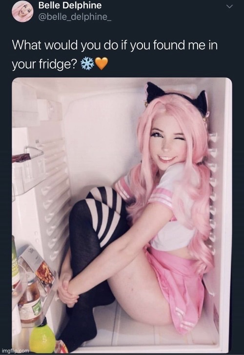 Belle Delphine in a fridge | image tagged in belle delphine in a fridge | made w/ Imgflip meme maker