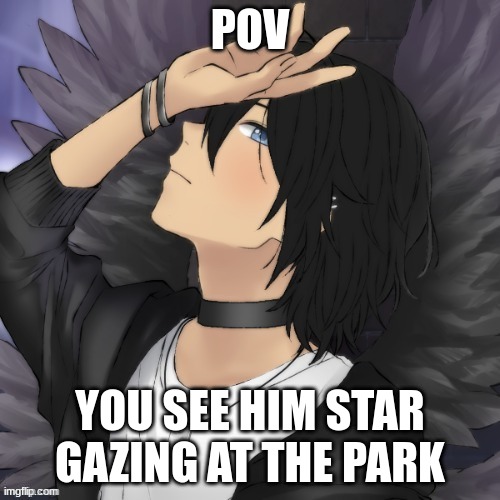 Romance RP, no joke or bambi OCs, no ERP, no killing him and no military OCs. | POV; YOU SEE HIM STAR GAZING AT THE PARK | made w/ Imgflip meme maker