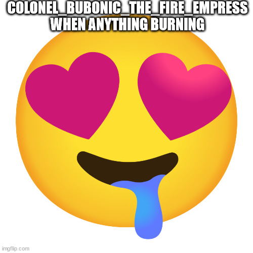 fire fetish lol | COLONEL_BUBONIC_THE_FIRE_EMPRESS WHEN ANYTHING BURNING | image tagged in downbad emoji 10 | made w/ Imgflip meme maker