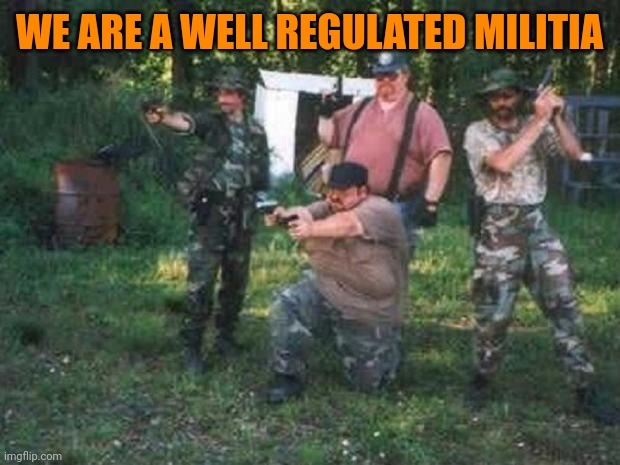 redneck militia | WE ARE A WELL REGULATED MILITIA | image tagged in redneck militia | made w/ Imgflip meme maker