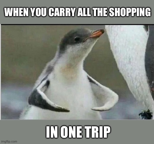 Penguin flexing | WHEN YOU CARRY ALL THE SHOPPING; IN ONE TRIP | image tagged in penguin flexing | made w/ Imgflip meme maker