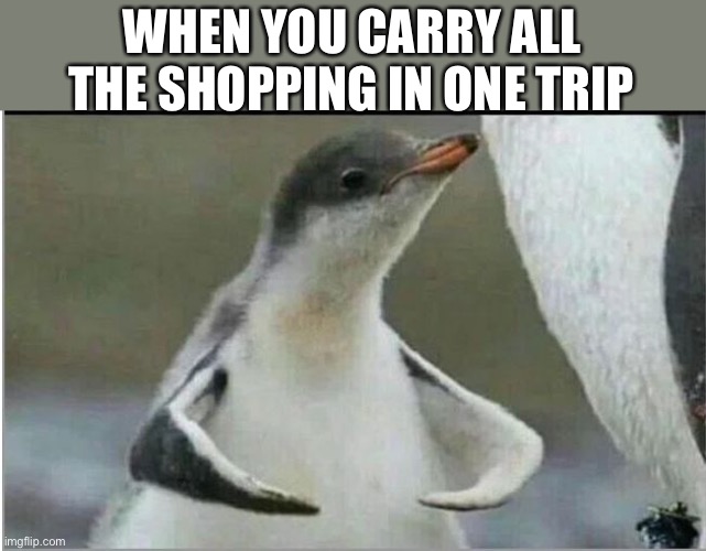 Strong | WHEN YOU CARRY ALL THE SHOPPING IN ONE TRIP | image tagged in penguin flexing,strong,stronks,shopping,bags | made w/ Imgflip meme maker