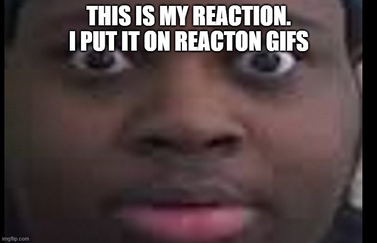 edp445 be bussin | THIS IS MY REACTION. I PUT IT ON REACTON GIFS | image tagged in edp stare | made w/ Imgflip meme maker