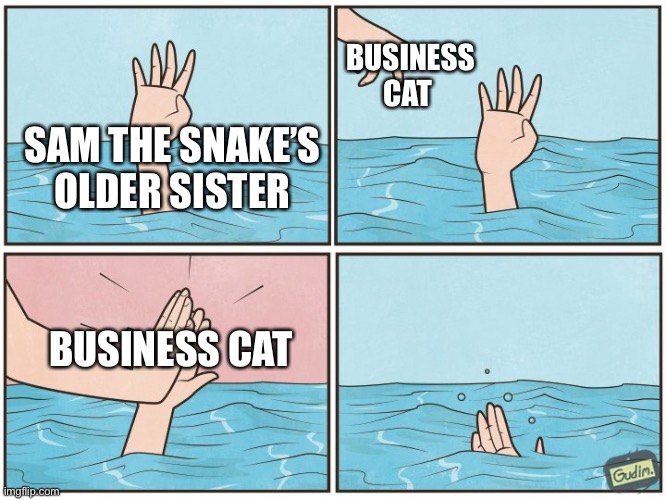 High five drown | BUSINESS CAT; SAM THE SNAKE’S OLDER SISTER; BUSINESS CAT | image tagged in high five drown | made w/ Imgflip meme maker