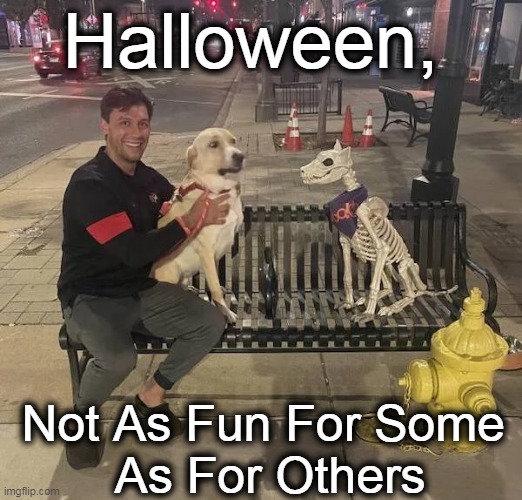 Uh, Oh . . . | Halloween, Not As Fun For Some 
As For Others | image tagged in fun,halloween,happy halloween,uh oh,imgflip humor,lol | made w/ Imgflip meme maker