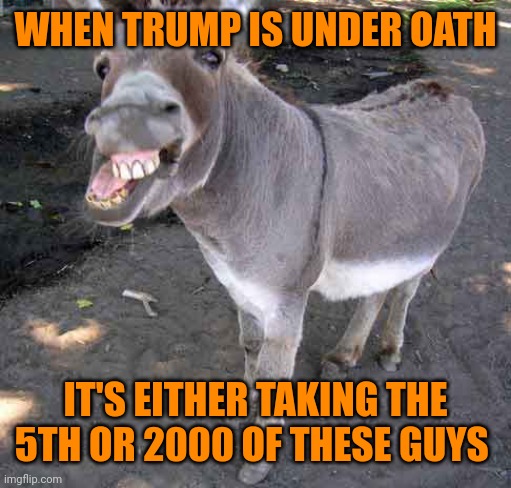 Y'all gotta watch them 2000 mules! | WHEN TRUMP IS UNDER OATH; IT'S EITHER TAKING THE 5TH OR 2000 OF THESE GUYS | image tagged in drug mule | made w/ Imgflip meme maker