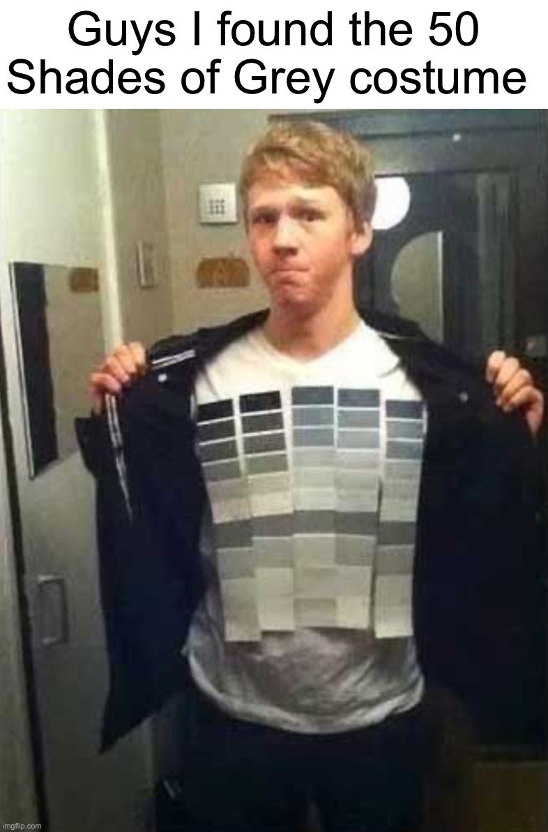 In case you’re wondering, it’s a movie | Guys I found the 50 Shades of Grey costume | image tagged in memes,funny,halloween,spooky month,gray,halloween costume | made w/ Imgflip meme maker