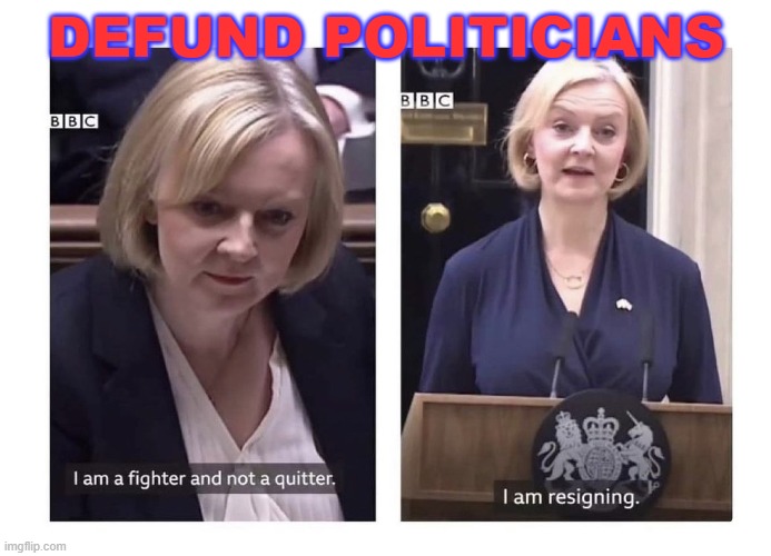 Defund Politicians | DEFUND POLITICIANS | image tagged in liz truss | made w/ Imgflip meme maker
