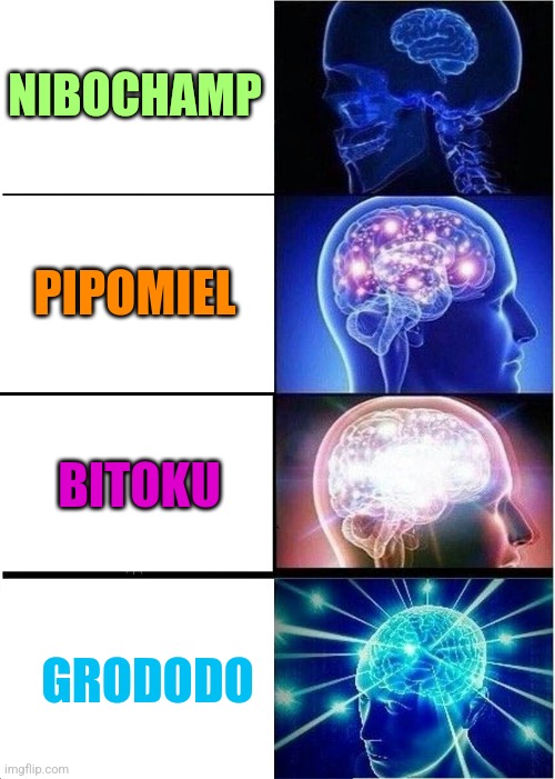Expanding Brain Meme | NIBOCHAMP; PIPOMIEL; BITOKU; GRODODO | image tagged in memes,expanding brain | made w/ Imgflip meme maker