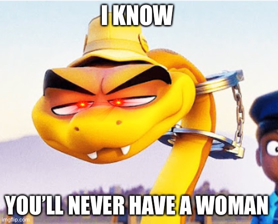 Knowing snake | I KNOW; YOU’LL NEVER HAVE A WOMAN | image tagged in knowing snake | made w/ Imgflip meme maker