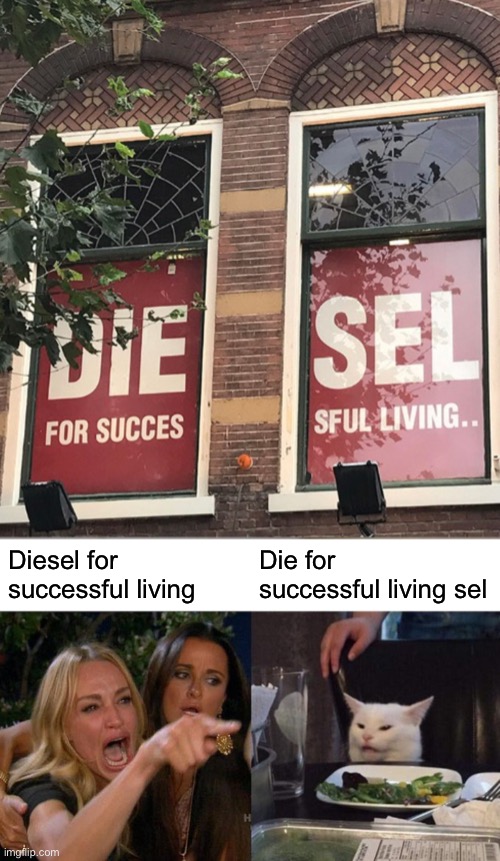 Diesel for successful living; Die for successful living sel | image tagged in heh,memes,woman yelling at cat | made w/ Imgflip meme maker