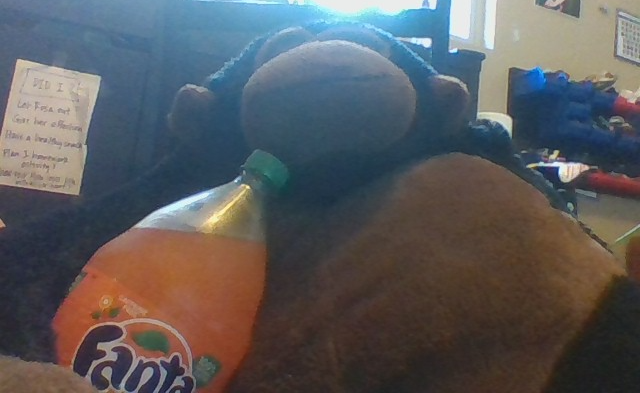 gorilla with fanta Blank Meme Template