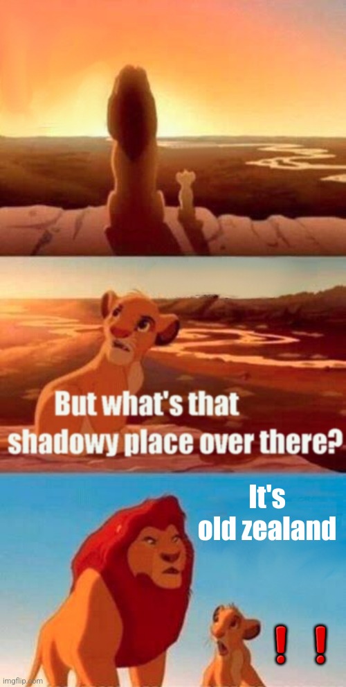 Old zealand??? | It's old zealand; ❗️❗️ | image tagged in memes,simba shadowy place | made w/ Imgflip meme maker