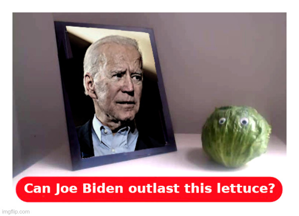 Can Joe Biden Outlast This Lettuce? | image tagged in joe biden,lettuce | made w/ Imgflip meme maker