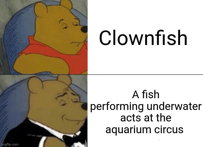 Clownfish | Clownfish; A fish performing underwater acts at the aquarium circus | image tagged in memes,tuxedo winnie the pooh,clownfish,fish,funny,blank white template | made w/ Imgflip meme maker