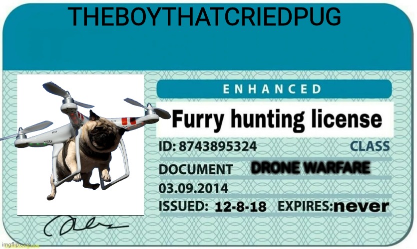 So true | THEBOYTHATCRIEDPUG; DRONE WARFARE | image tagged in furry hunting license | made w/ Imgflip meme maker