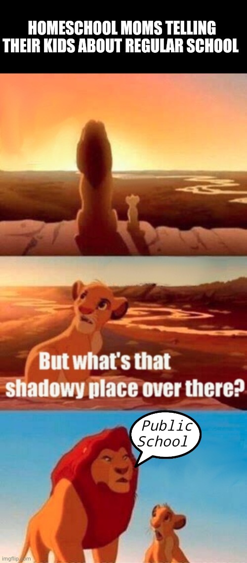 HOMESCHOOLER POV | HOMESCHOOL MOMS TELLING THEIR KIDS ABOUT REGULAR SCHOOL; Public School | image tagged in memes,simba shadowy place,the lion king | made w/ Imgflip meme maker
