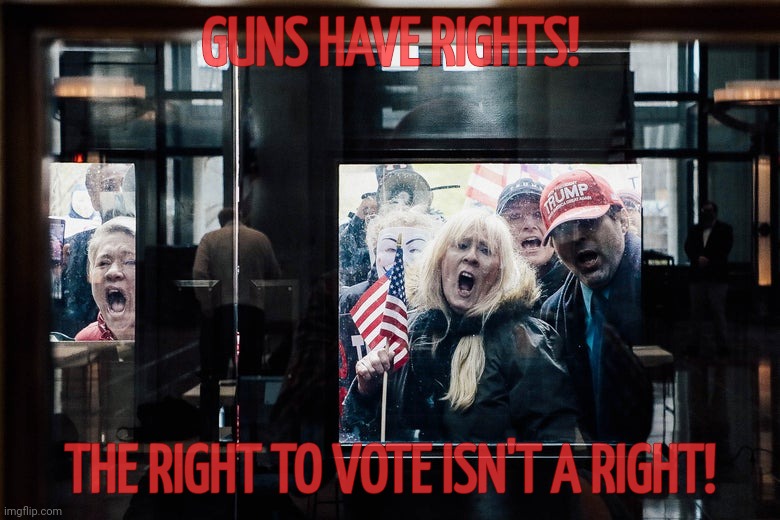 Zombie Protestors | GUNS HAVE RIGHTS! THE RIGHT TO VOTE ISN'T A RIGHT! | image tagged in zombie protestors | made w/ Imgflip meme maker