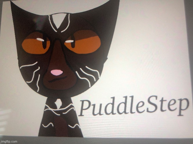 My oc, PuddleStep! (The fanart isn’t the best, if anyone would want to redraw him, I’d be happy to see it!) | made w/ Imgflip meme maker