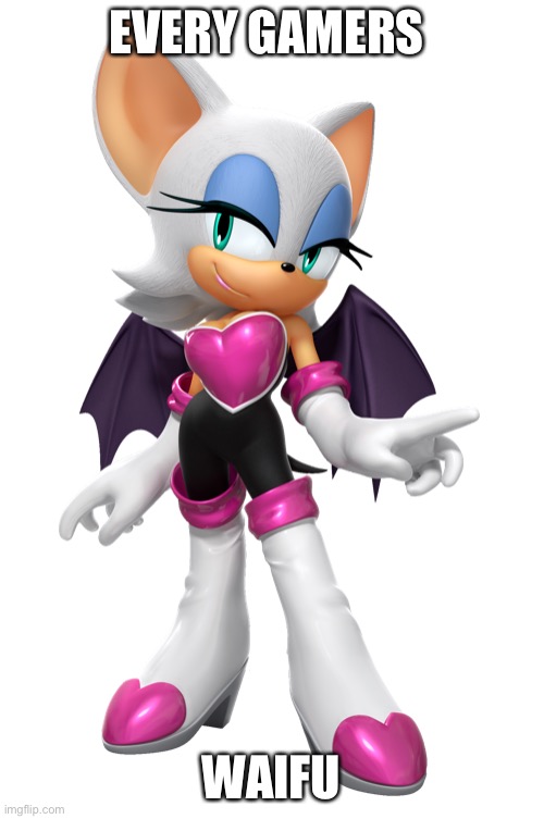 rouge | EVERY GAMERS; WAIFU | image tagged in rouge,sonic the hedgehog | made w/ Imgflip meme maker