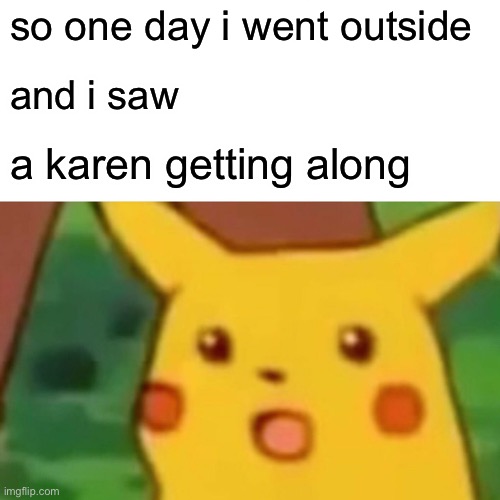 Surprised Pikachu Meme | so one day i went outside; and i saw; a karen getting along | image tagged in memes,surprised pikachu | made w/ Imgflip meme maker