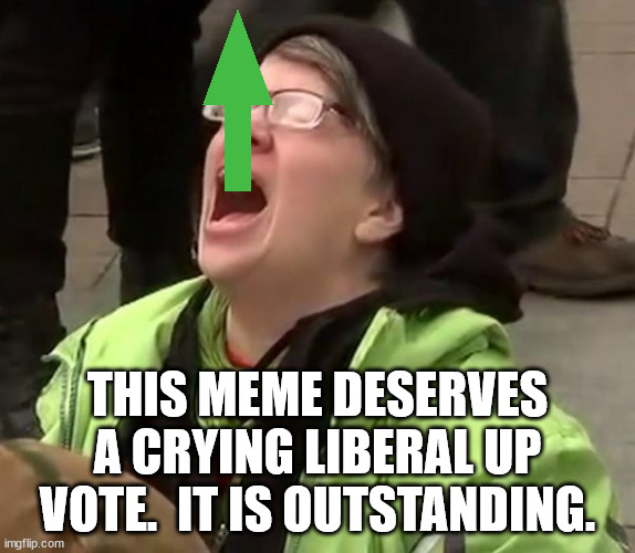 Crying Liberal | THIS MEME DESERVES A CRYING LIBERAL UP VOTE.  IT IS OUTSTANDING. | image tagged in crying liberal | made w/ Imgflip meme maker