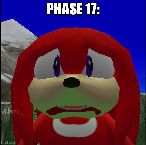 Oh no knuckles | PHASE 17: | image tagged in oh no knuckles | made w/ Imgflip meme maker