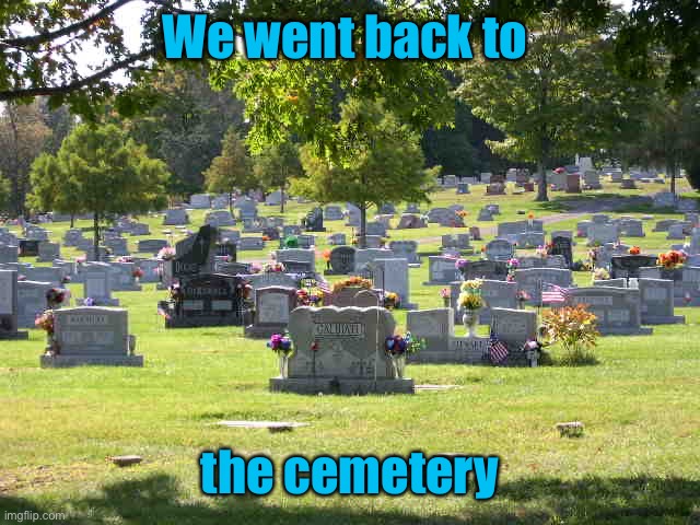 cemetery | We went back to the cemetery | image tagged in cemetery | made w/ Imgflip meme maker