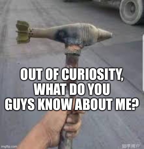 OUT OF CURIOSITY, WHAT DO YOU GUYS KNOW ABOUT ME? | made w/ Imgflip meme maker