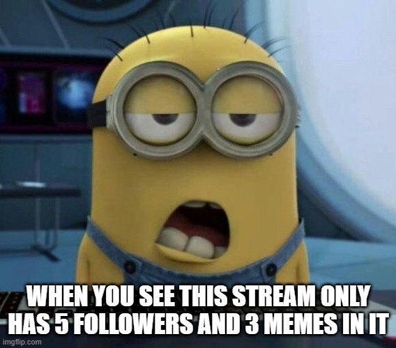 DANK | WHEN YOU SEE THIS STREAM ONLY HAS 5 FOLLOWERS AND 3 MEMES IN IT | image tagged in sleepy minion | made w/ Imgflip meme maker