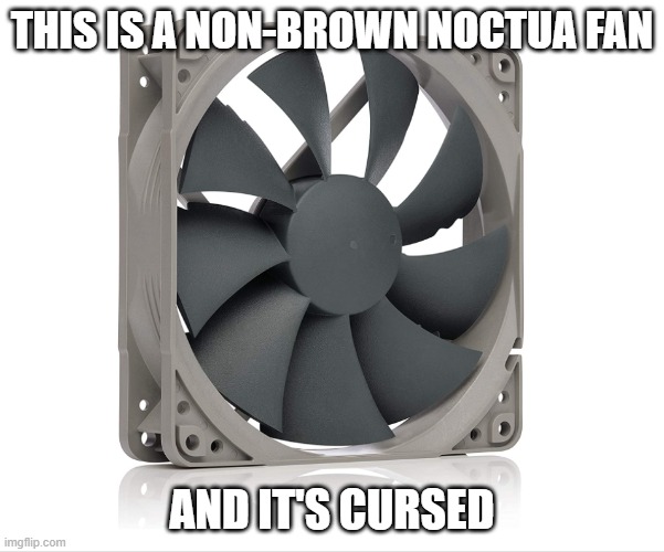 THIS IS A NON-BROWN NOCTUA FAN; AND IT'S CURSED | image tagged in pc gaming | made w/ Imgflip meme maker