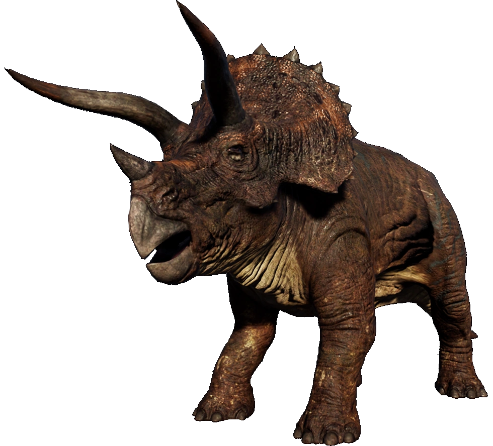 Triceratops 3 Blank Meme Template