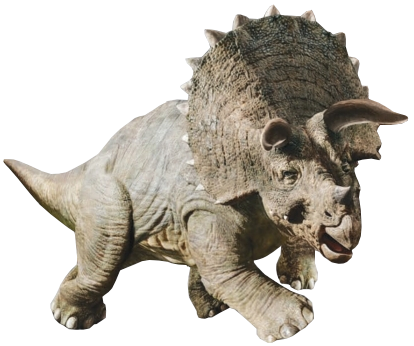 Triceratops 4 Blank Meme Template
