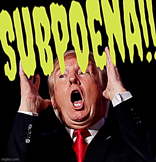 SUBPOENA!! | image tagged in you get what you fucking deserve,oh no it's retarded,oh no cringe,dumb ass,criminal,con man | made w/ Imgflip meme maker