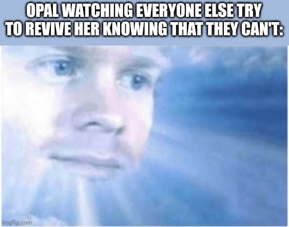 In heaven looking down | OPAL WATCHING EVERYONE ELSE TRY TO REVIVE HER KNOWING THAT THEY CAN'T: | image tagged in in heaven looking down | made w/ Imgflip meme maker