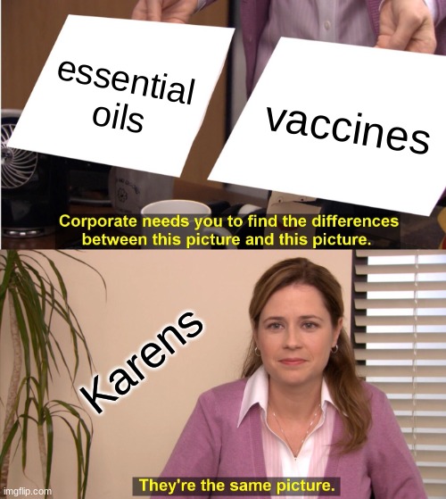 They're The Same Picture Meme | essential oils; vaccines; Karens | image tagged in memes,they're the same picture | made w/ Imgflip meme maker