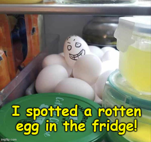 Rotten egg | I spotted a rotten egg in the fridge! | image tagged in funny memes | made w/ Imgflip meme maker