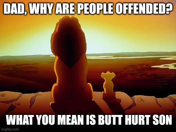 Lion King | DAD, WHY ARE PEOPLE OFFENDED? WHAT YOU MEAN IS BUTT HURT SON | image tagged in memes,lion king | made w/ Imgflip meme maker