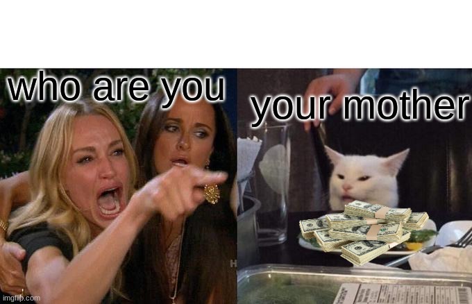 Woman Yelling At Cat | who are you; your mother | image tagged in memes,woman yelling at cat | made w/ Imgflip meme maker