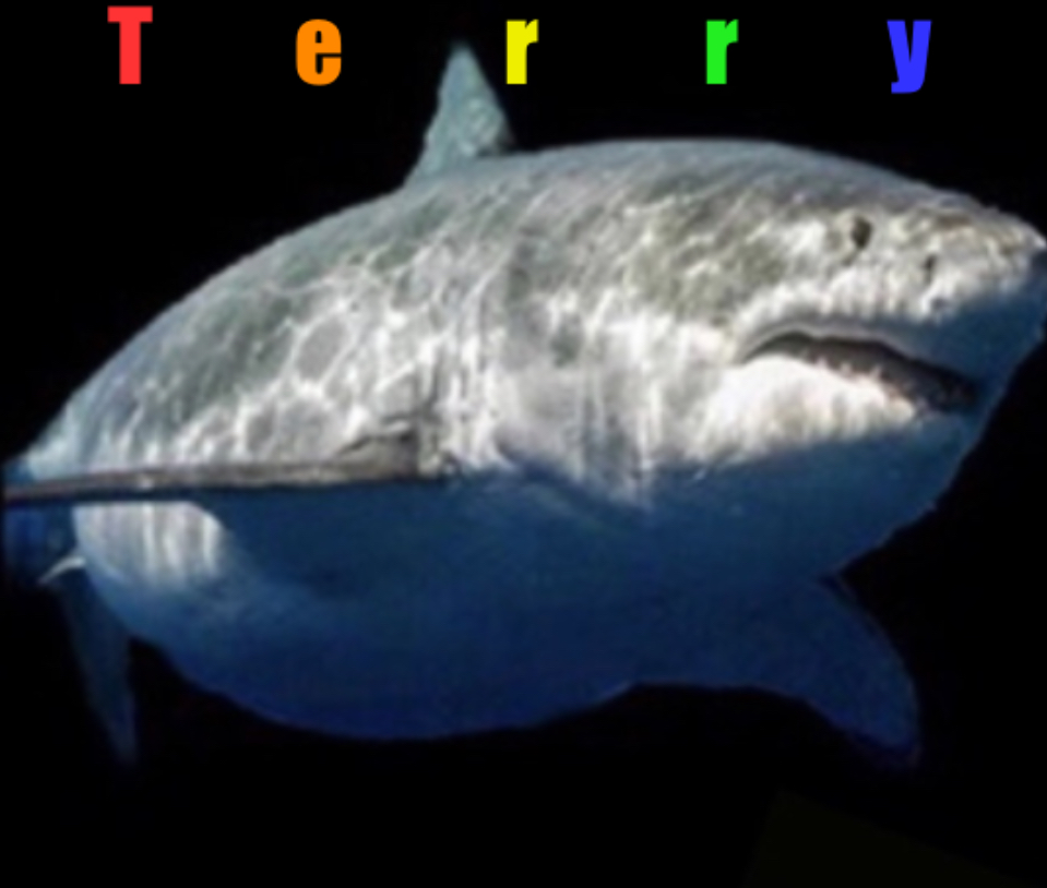 Terry the fat shark Blank Meme Template